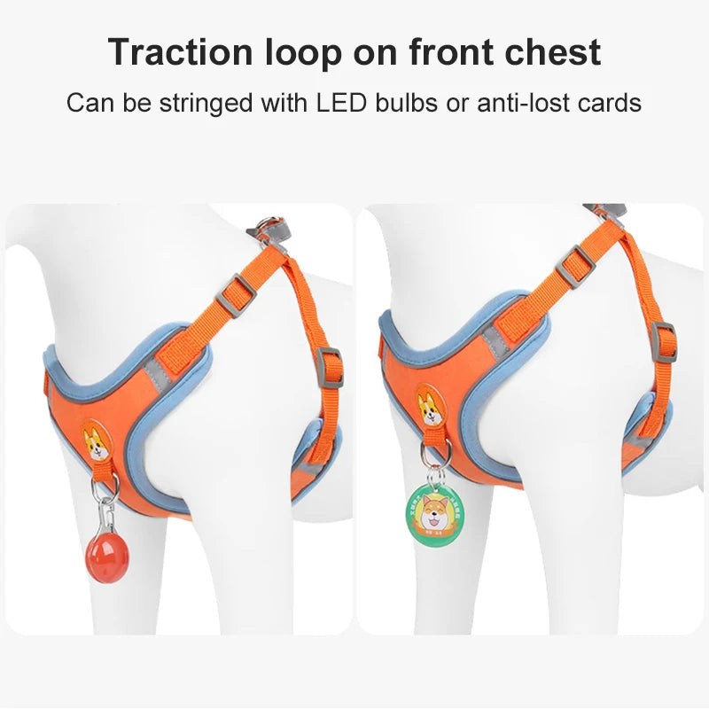 New Dog Leash And Harness Set Pet Dog Harness And Leash Set Adjustable Puppy Cat Harness Vest Reflective Walking No Pull Lead Leash For Small Dogs Chihuahua - 5 - CJ