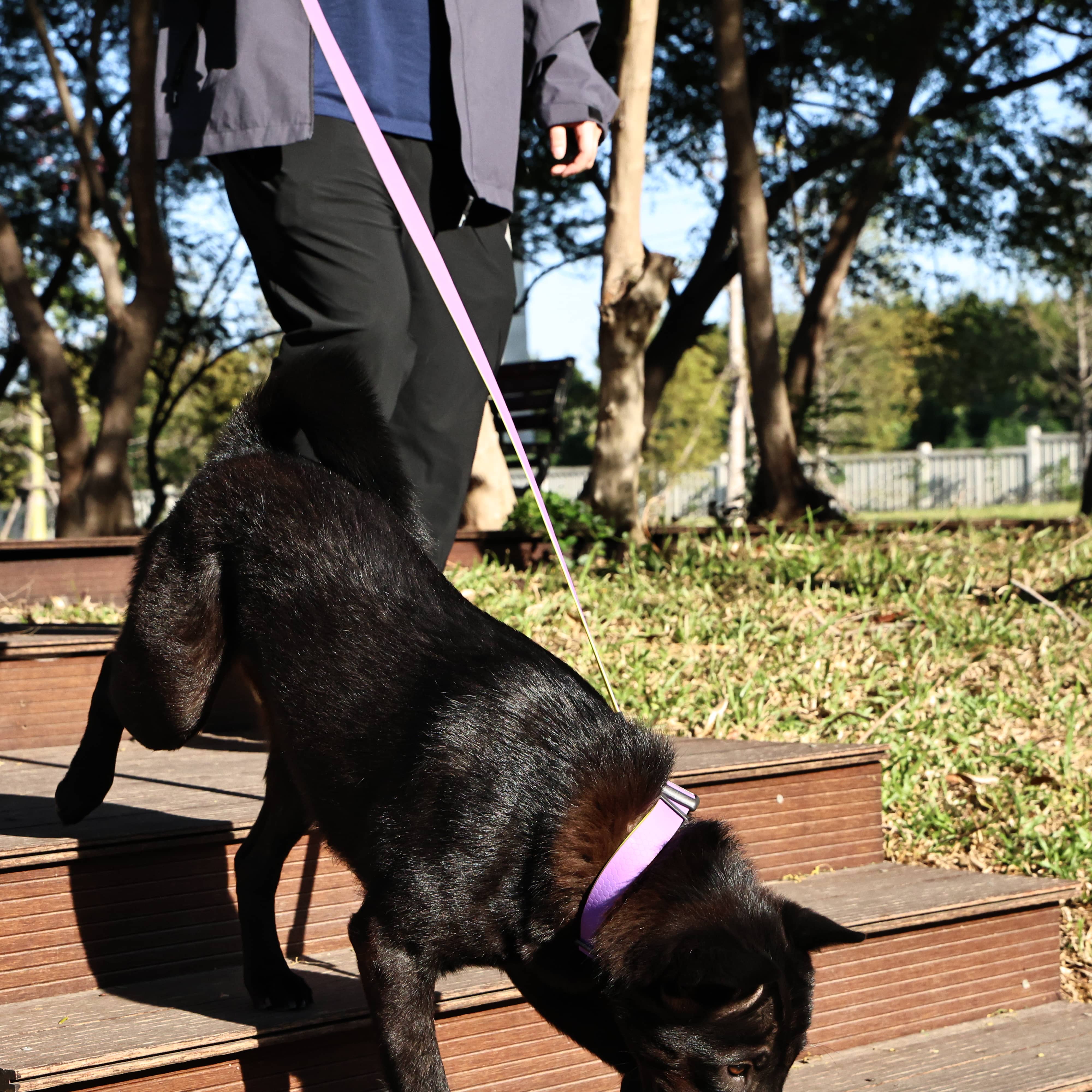 Honeycomb Embossed Dual - Color Pet Leash Set Is Stylish And Fashionable. The Embossed Surface Enhances The Leash's Grip, Preventing Slippage When Held. The Product Is Waterproof, Wear - resistant, Odor - r - 5 - CJ