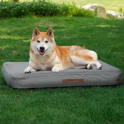 Medium Dog Outdoor Removable And Washable Inflatable Waterproof And Non - slip Dog Bed Summer Pet Travel Mat - 5 - CJ