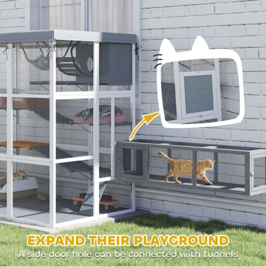 Cat Enclosure With Hammock - 5 - CJ