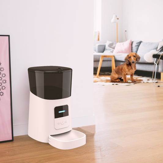 Pet feeder automatic - 0 - CJ