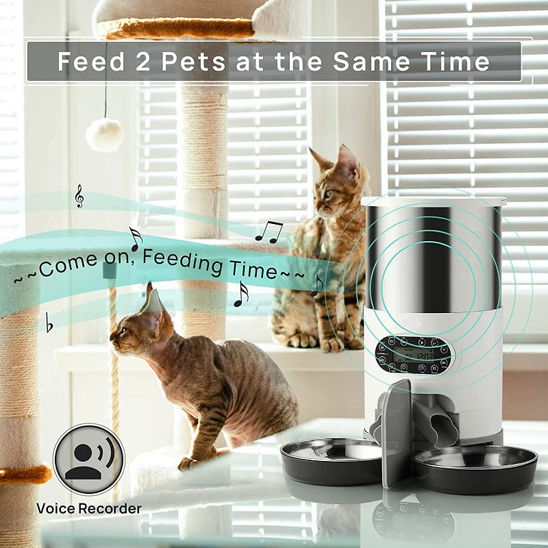 Automatic chqiue pet feeder - 0 - CJ