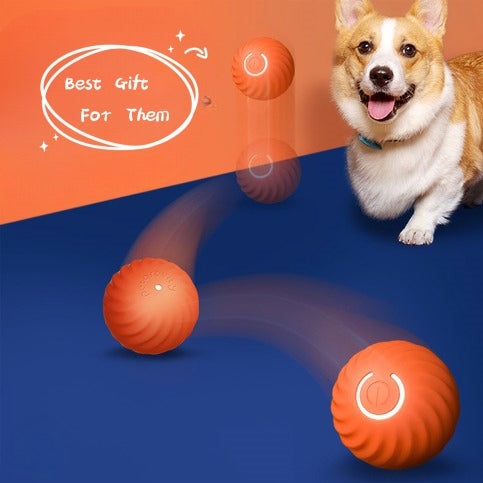 Pet Dog Rubber Ball Toys For Dogs Resistance To Bite Dog Chew Toys Puppy Pets Dogs Training Products - 0 - CJ