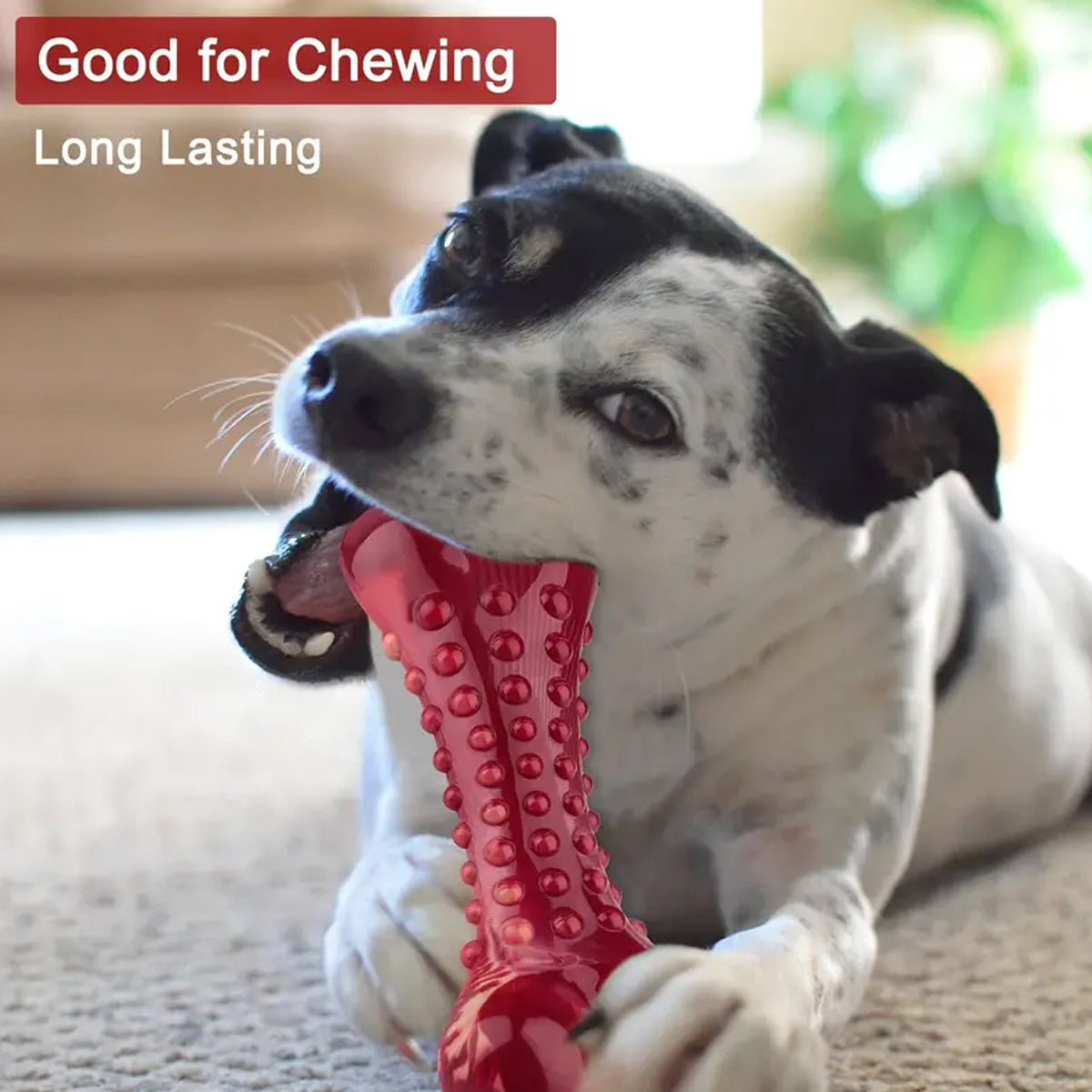 Natural Rubber Chew Toy Suitable For Aggressive Dogs - Durable And Long - Lasting Suitable For Dogs Chewing Heavy Objects - 4 - CJ