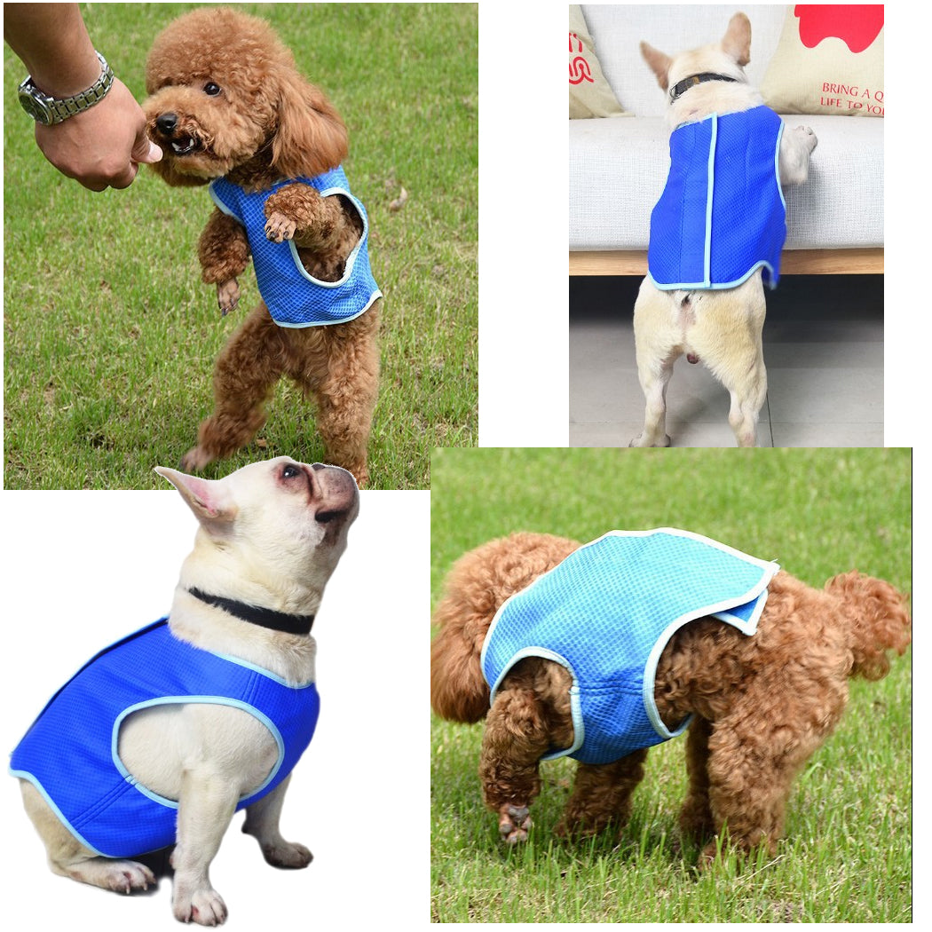 Dog Summer Cooling Vest, Pet Cooling Clothes Dog Cat Cooling Vest, Summer Heat Relief Vest Pet Dog Clothes Summer Clothes For Dogs Dog Cooling Vest - 5 - CJ