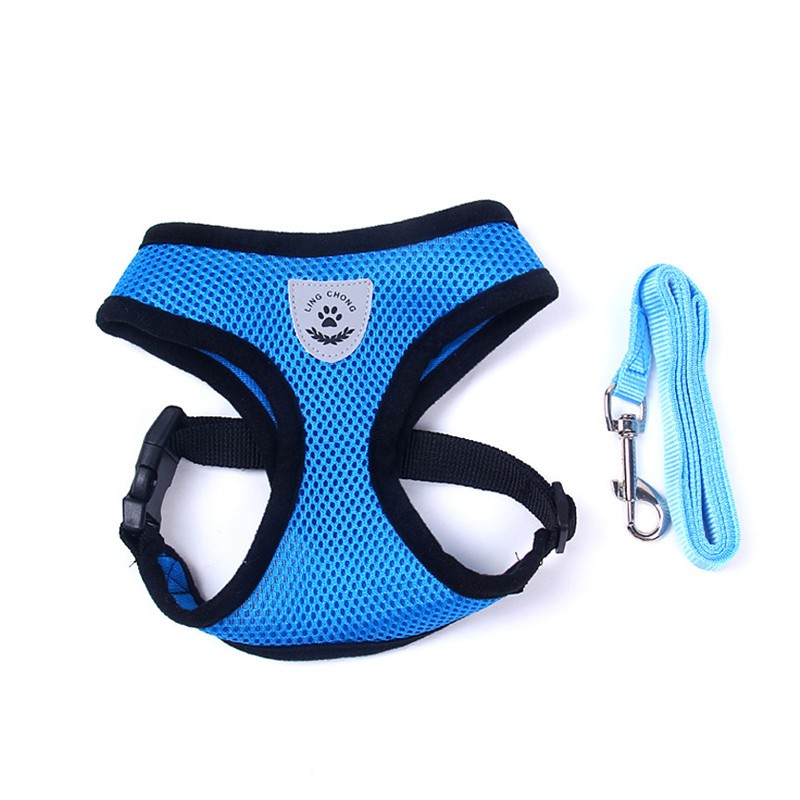 Pet Car Seat Belt Pet Leash - 0 - CJ - Blue - M - CJJJCWGY00012 - Blue - M
