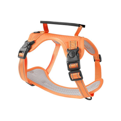 Large, Medium And Small Dog Chest Harness Traction Rope - 0 - CJ