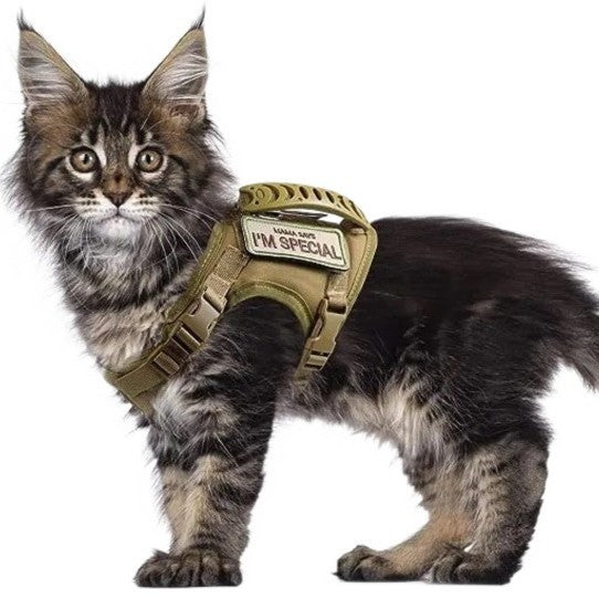 Cat Chest Strap Vest Hand Holding Rope - 0 - CJ