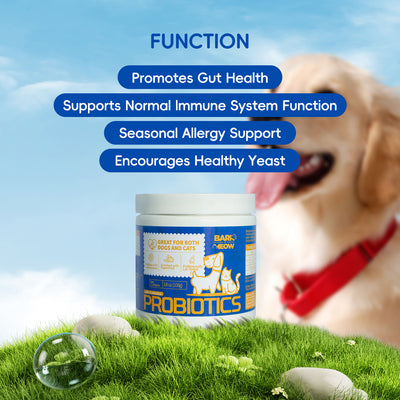 Bark And Meow Probiotics For Dogs & Cats 7 Tailored Strains Prebiotics, Pumpkin & Carrot 5 Billion CFU Scoop Human - Grade, Non - GMO, Vet - Approved, Made In USA, Gut & Immune Support - 5 - CJ