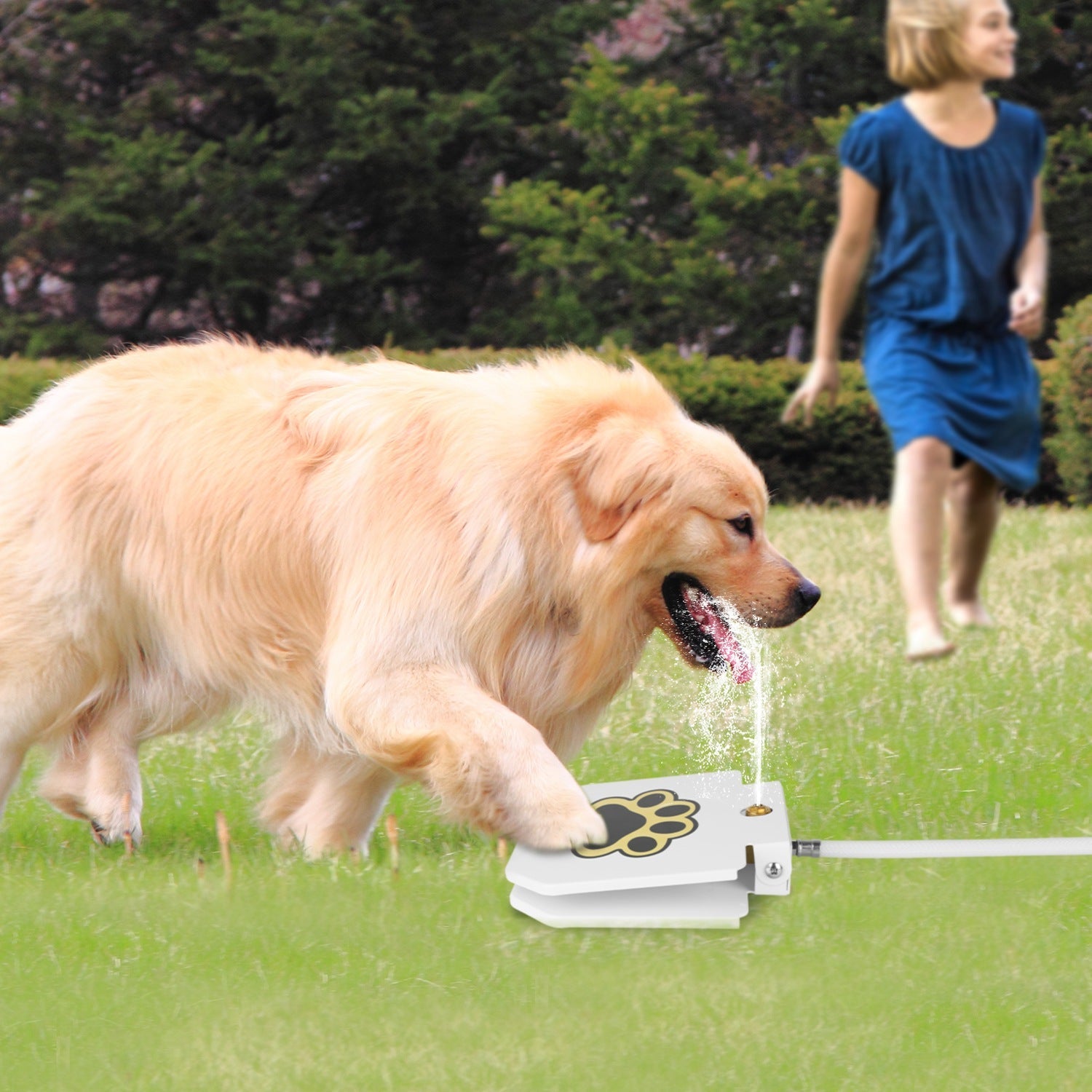 1Pc Dog Water Fountain Outdoor Dog Pet Water Dispenser Step-on Activated Sprinkler With Interactive Paw Pedal Valve For Drinking Water by CJ