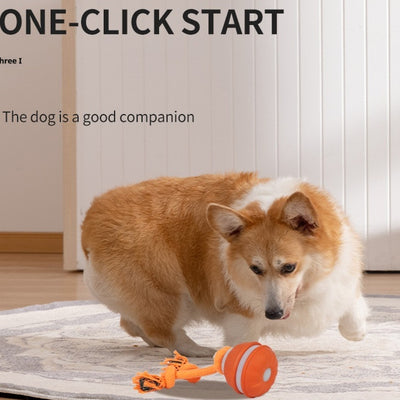 Pet Ball For Dogs Interactive Toys Motion Activate Rolling Ball For Puppy Small Dogs Automatic Moving Toy USB Rechargeable Toy Pet Products - 0 - CJ