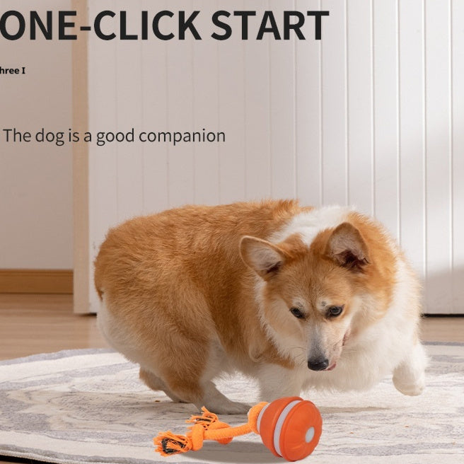 Pet Ball For Dogs Interactive Toys Motion Activate Rolling Ball For Puppy Small Dogs Automatic Moving Toy USB Rechargeable Toy Pet Products - 0 - CJ