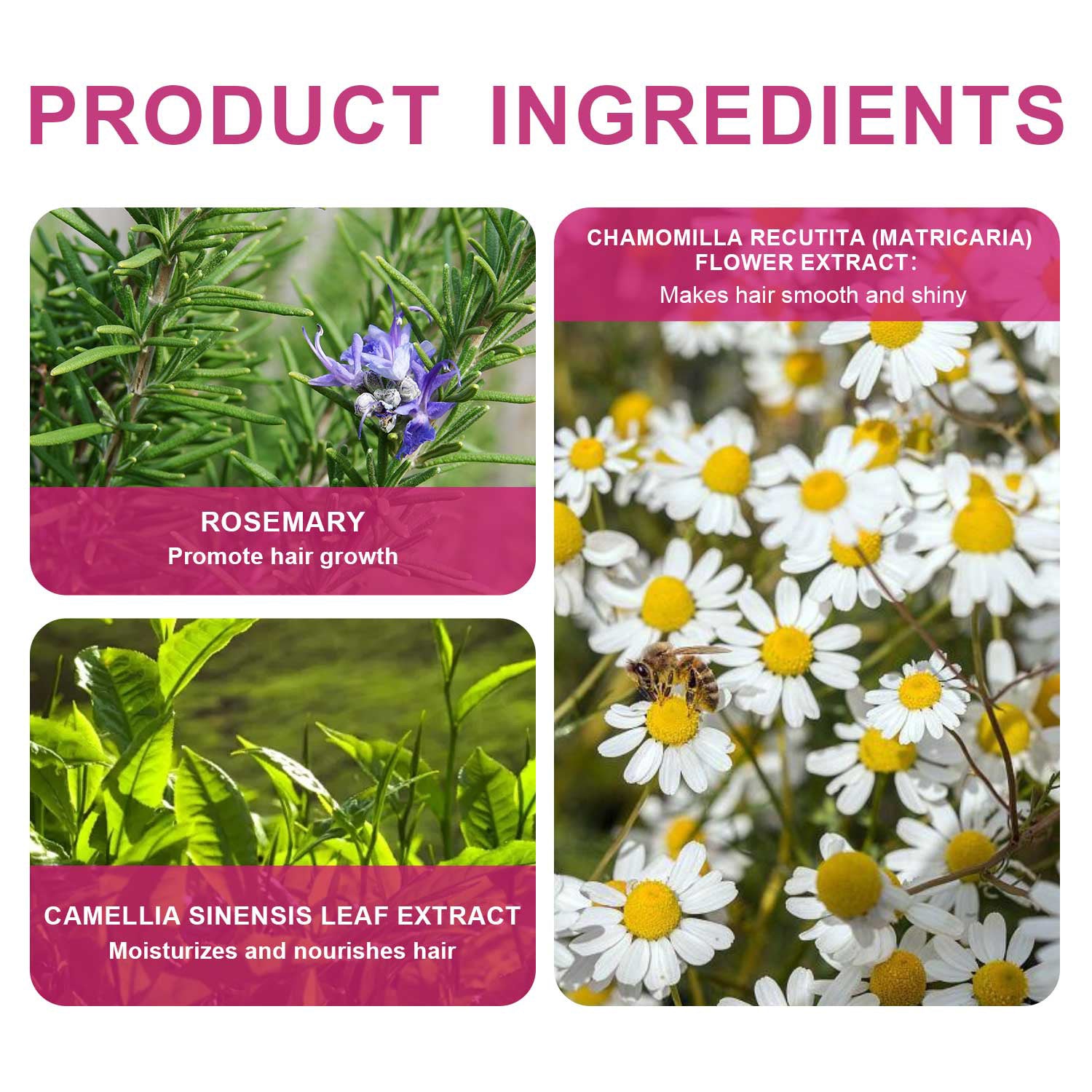 Rosemary Conditioner - 5 - CJ