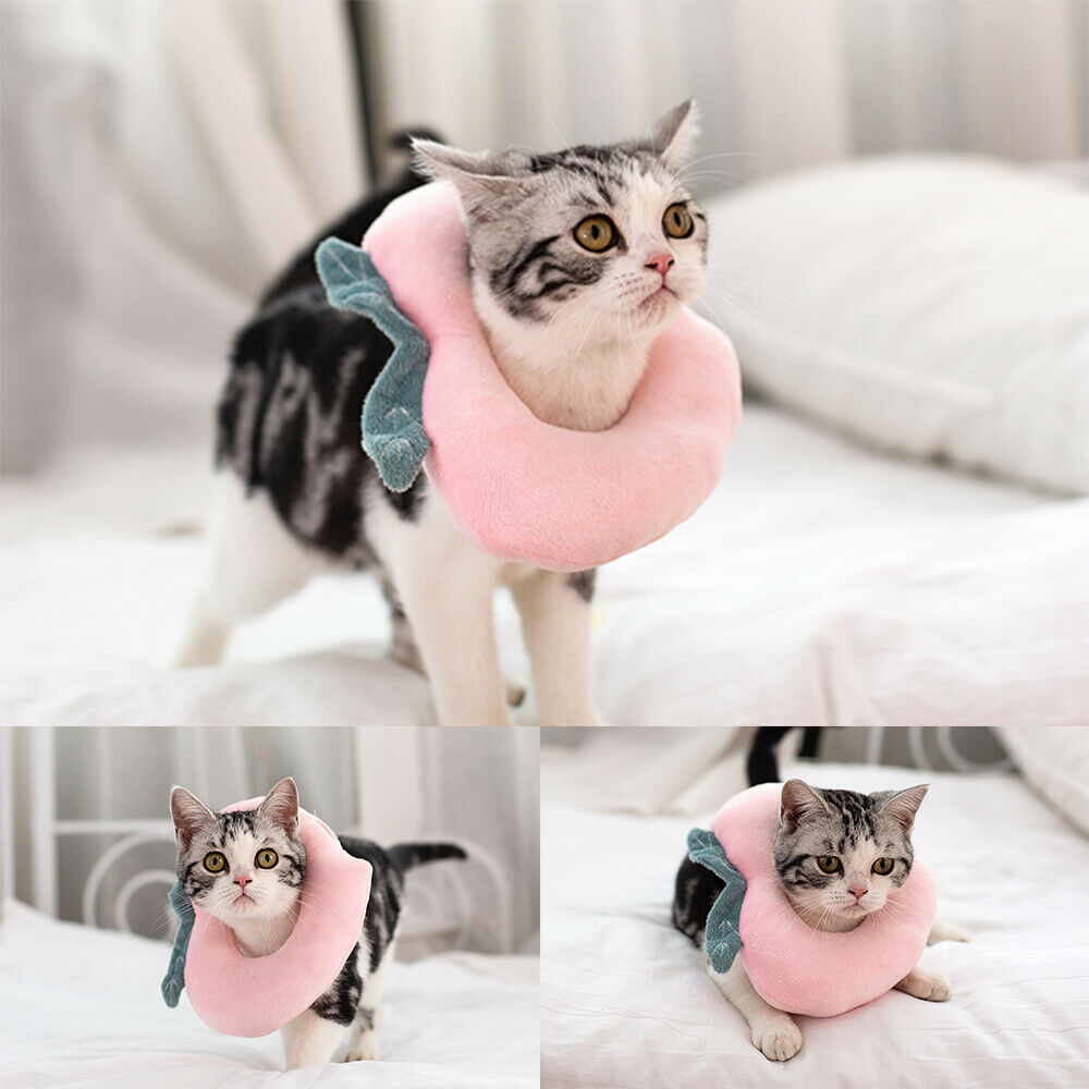 Adjustable Pet Neck Cone Recovery Pet Cat Recovery Collar Cat Soft Lemon Neck Cone Adjustable Pet E Collar After Surgery, Wound Healing Protective Cat Elizabethan Collar For Kitten & Puppy - 5 - CJ