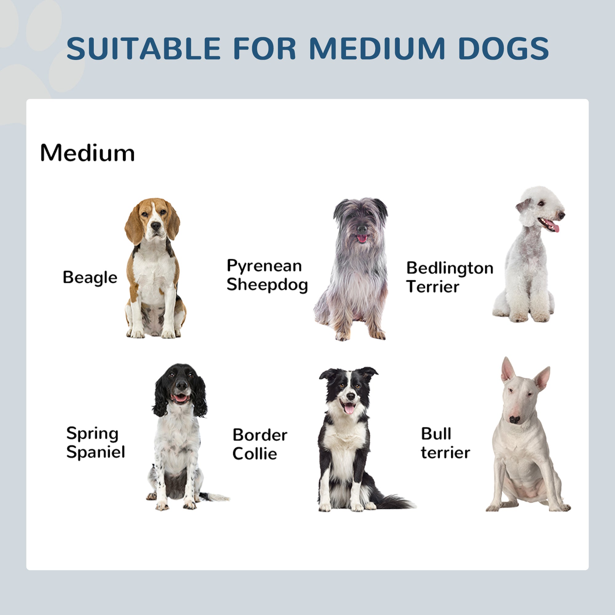 17" Double Stainless Steel Heavy Duty Dog Food Bowl Elevated Pet Feeding Station - 5 - CJ