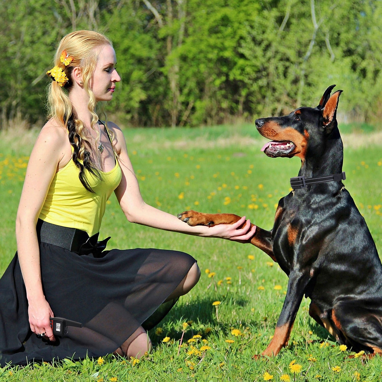 Train Collar OR Receiver Only Options - 3280FT Dog Training Collar IP67 Waterproof Pet Beep Vibration Electric Shock Collar 3 Channels Rechargeable Transmitter Receiver Trainer With Flashlight - 5 - CJ