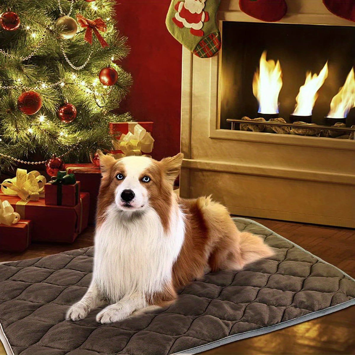 Cat Dog Non - Slip Mat, Extra Warm Thermal Pet Pad Self - Heating Cat Mat Warm Thermal Pet Pad Washable Dog Crate Pad Heat Dog Cat Bed Mat Blanket Non - Slip - 5 - CJ