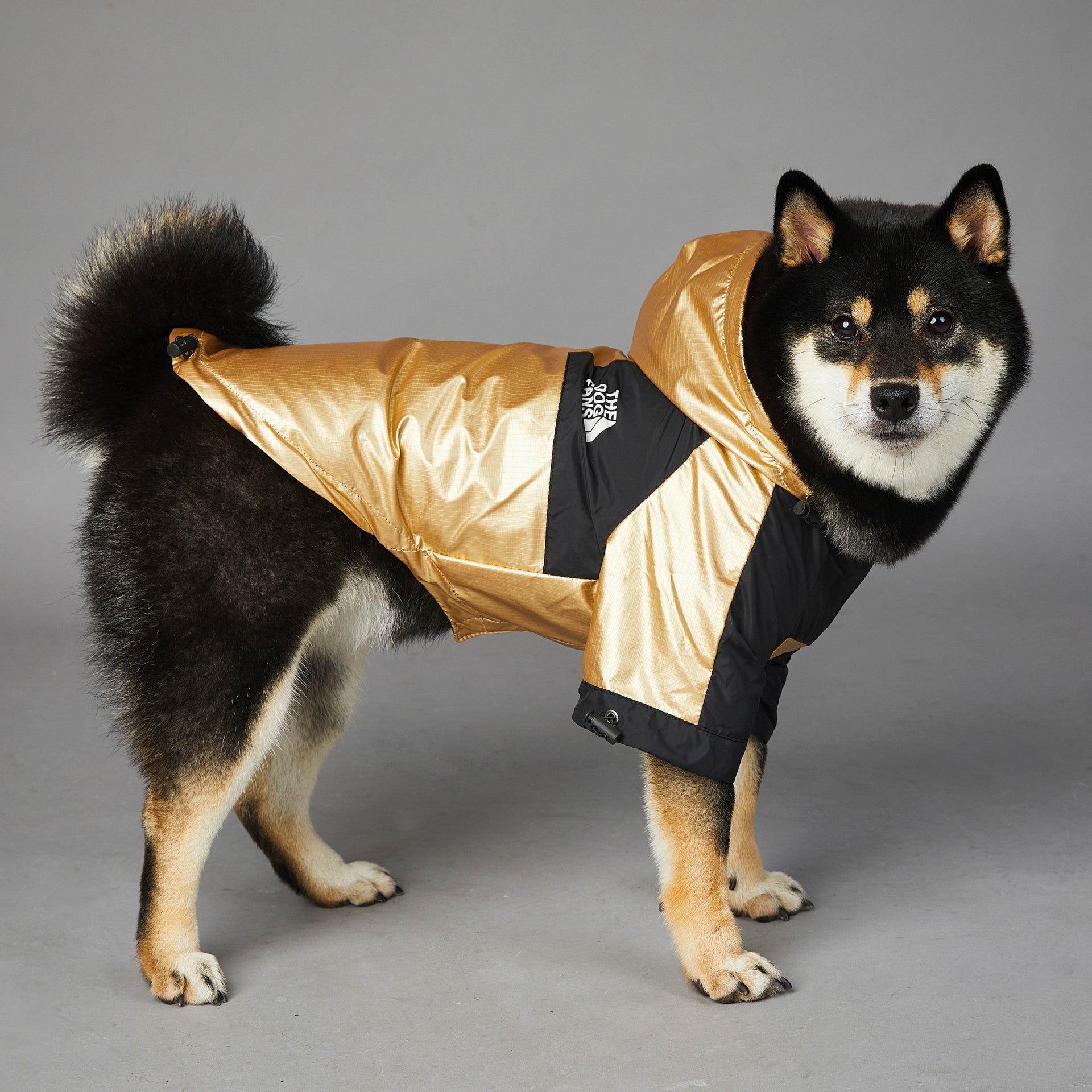 Dog Large Dog Raincoat Pet Jacket - 0 - CJ