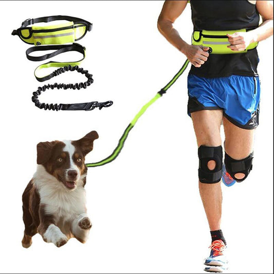 Hands Free Dog Leash Pet Walking And Training Belt With Shock Absorbing Bungee Leash For Up To 180lbs Large Dogs Phone Pocket And Water Bottle Holder - 4 - CJ
