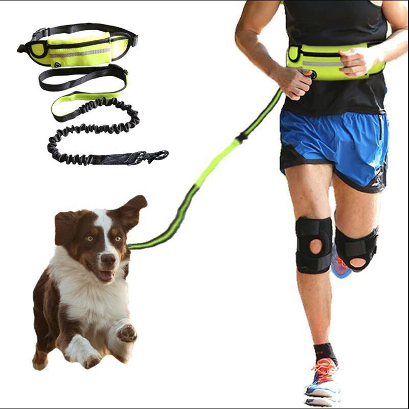 Hands Free Dog Leash Pet Walking And Training Belt With Shock Absorbing Bungee Leash For Up To 180lbs Large Dogs Phone Pocket And Water Bottle Holder - 4 - CJ