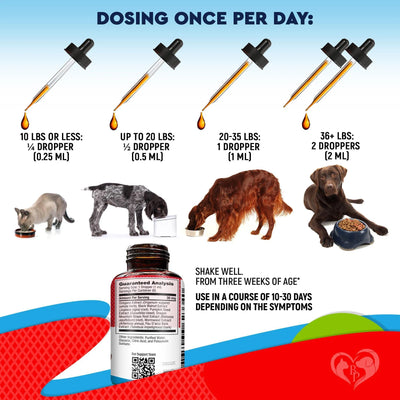 Cats And Dogs Liquid Herbal Medicine And Natural Broad Spectrum Treatment For Tapeworm Whipworm Roundworm And Hookworm Prevention Medication Supplement Drops For Kitten And Puppies - 5 - CJ