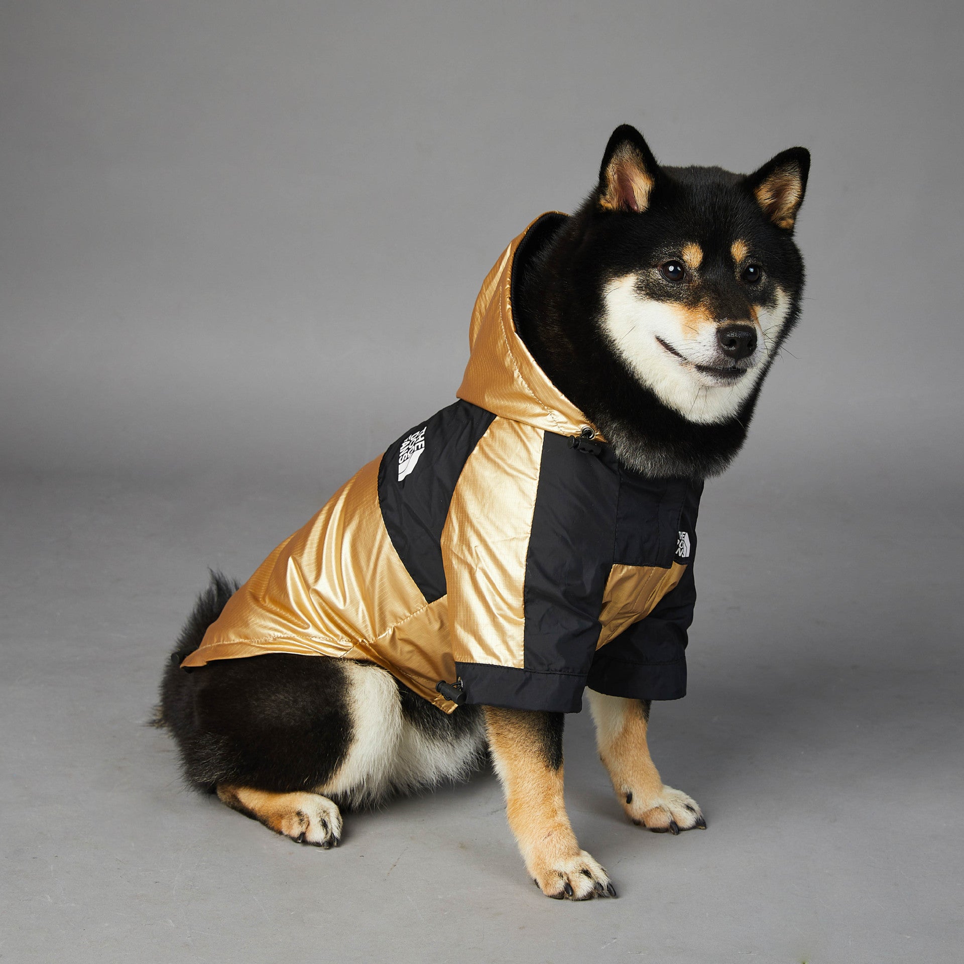 Dog Large Dog Raincoat Pet Jacket - 0 - CJ