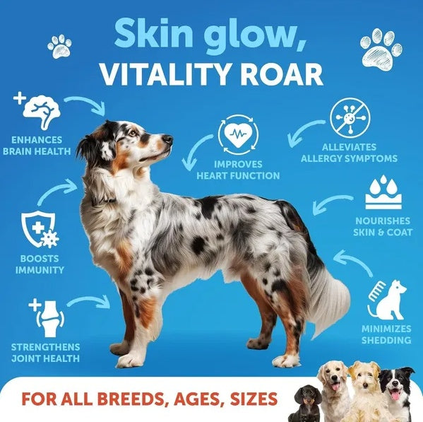 Salmon Oil For Dogs 3 For Dogs 8 FL OZ Wild Alaskan Salmon Fish Oil - 5 - CJ