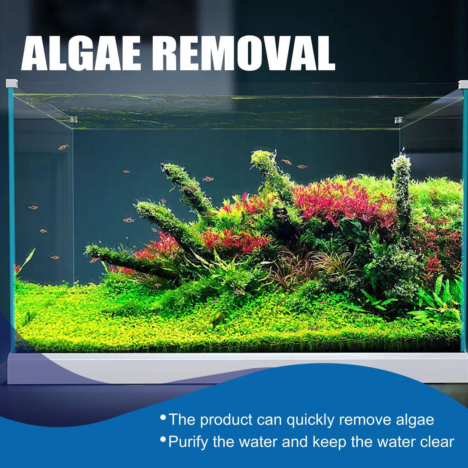 Igbondigal Lichen Fish Tank Cleaning Supplies Algaecide To Remove Moss And Green Water Algae - 5 - CJ