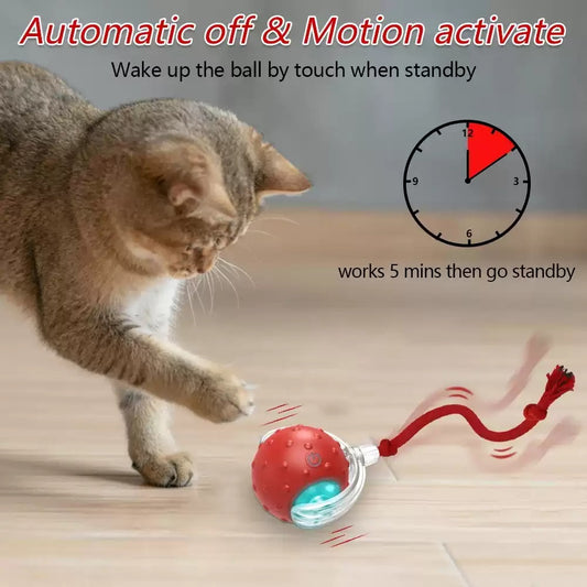 Interactive Cat Toy Ball Super Drive Cat Rolling Balls With - 0 - CJ