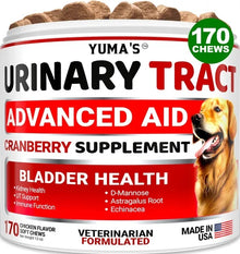 Dog UTI Treatment 170 Treats Cranberry Supplement For Dogs Bladder Control For Dogs - 5 - CJ