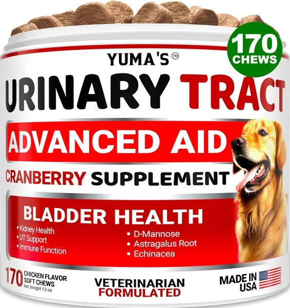 Dog UTI Treatment 170 Treats Cranberry Supplement For Dogs Bladder Control For Dogs by CJ