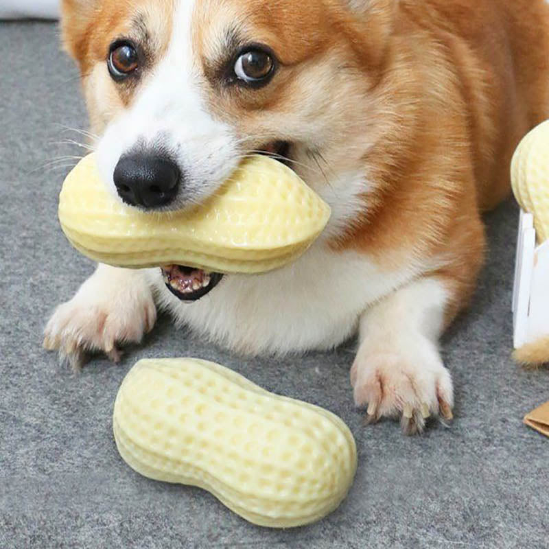 Funny Pet Dog Squeaky Toys For Small Middle Dogs Bite Resistant Puppy Cat Dogs Toys Pets Rubber Peanut Clean Tooth Chew Toy - 5 - CJ