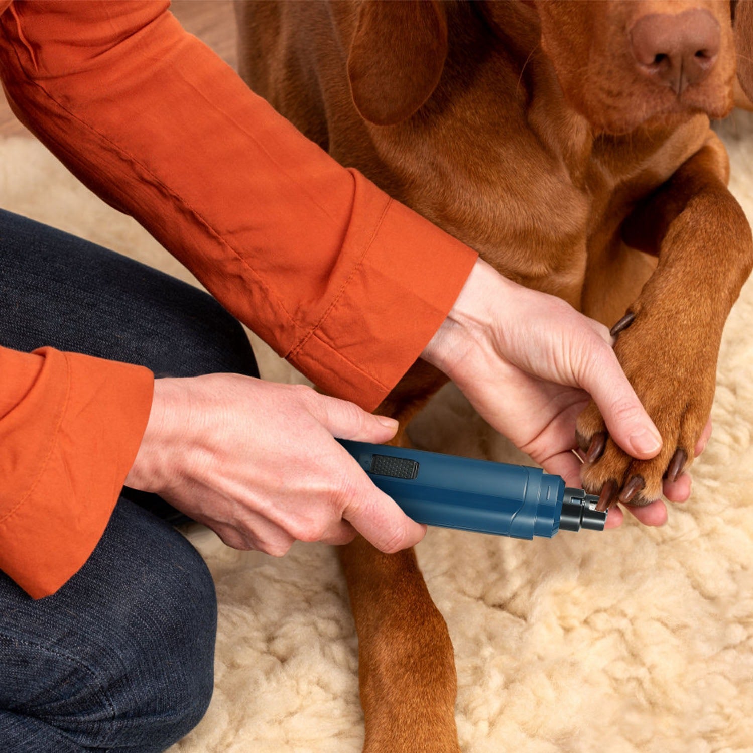 1Pc Dog Nail Grinder 2 Speeds Quiet USB Rechargeable Pet Nail Grinder Professional Pet Nail Trimmer Cordless Paws Grooming & Smoothing Claw Care For Small Medium Large Dogs & Cats - 5 - CJ