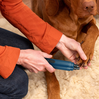 1Pc Dog Nail Grinder 2 Speeds Quiet USB Rechargeable Pet Nail Grinder Professional Pet Nail Trimmer Cordless Paws Grooming & Smoothing Claw Care For Small Medium Large Dogs & Cats - 5 - CJ