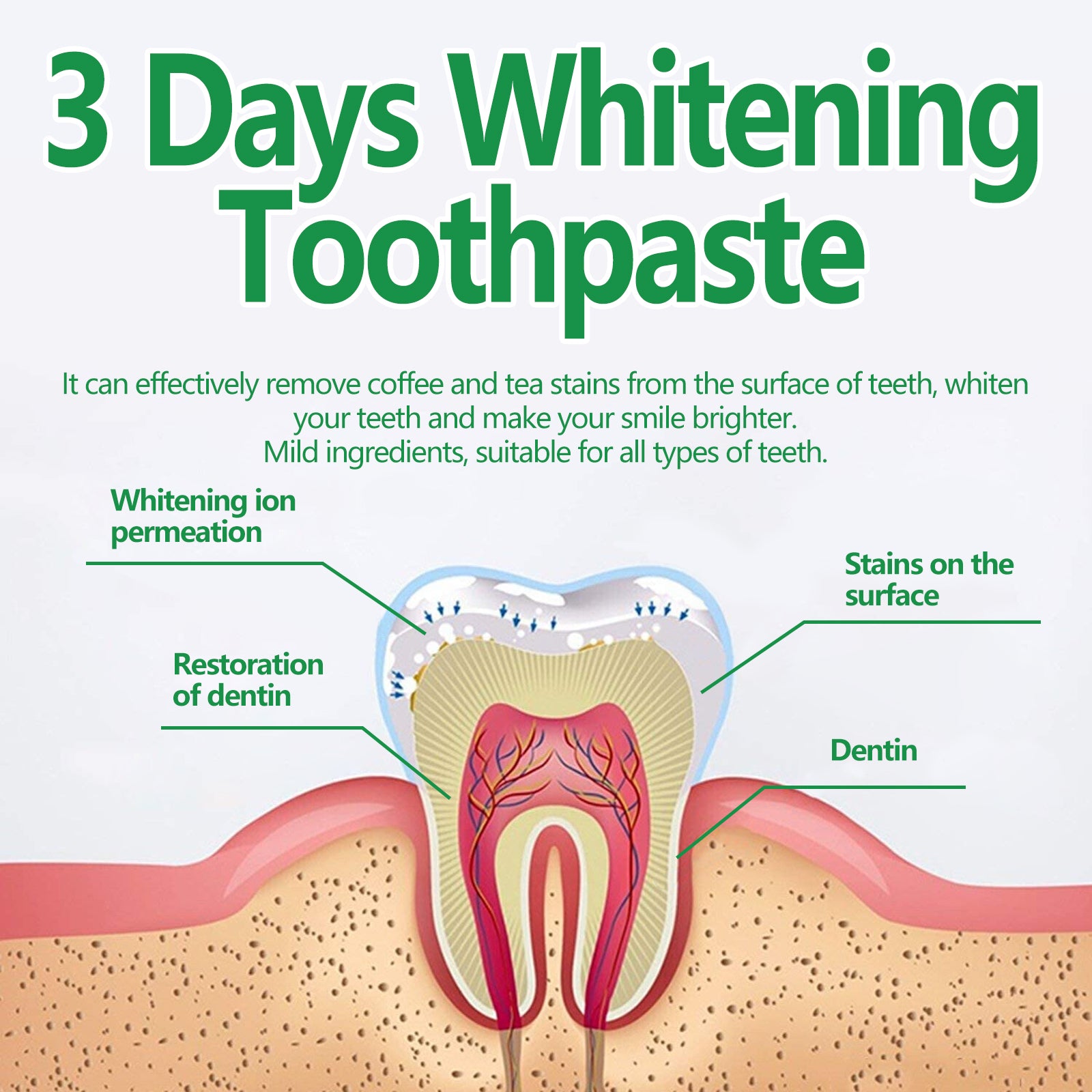 Toothpaste For Cleaning Oral Odor And Protecting Gums - 5 - CJ