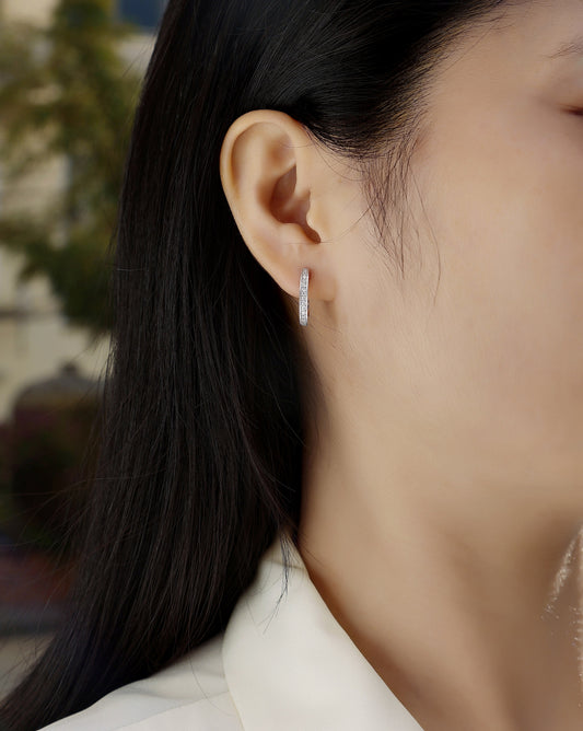 1Highlight - S925 Moissanite Sterling Silver Earrings With Platinum - plated Stud Earrings, Fashionable, Trendy And Affordable Diamond Jewelry Prohibit Tk Sales - 5 - cjdropshipping