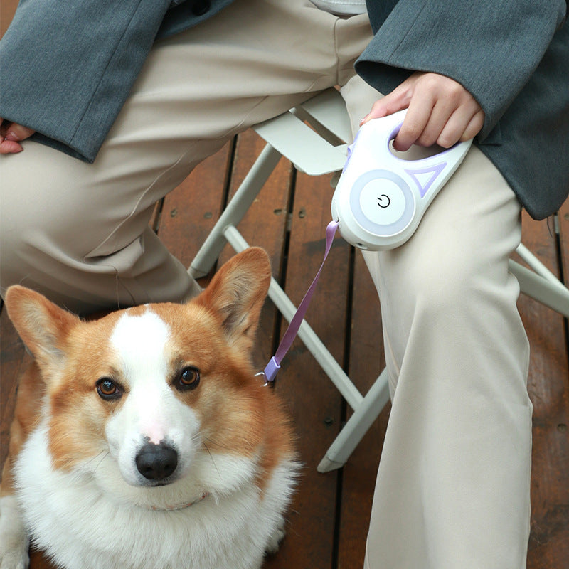 Dog Leash Retractable Leash And Dog Collar Spotlight Automatic Pet Dog Cat Traction Rope For Small Medium Dogs Pet Product - 0 - CJ