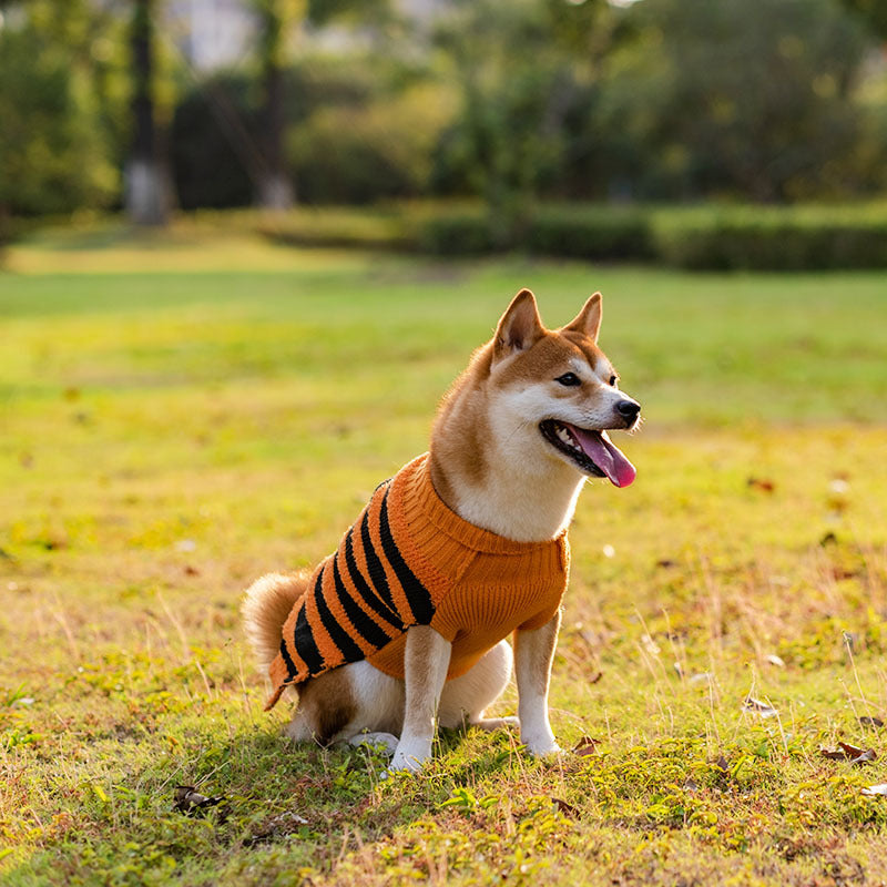 Halloween Dog Sweaters Pet Costume Teddy Warm Leisure Sweater Cosplay Clothes For Dogs Pets Outfits - 0 - CJ
