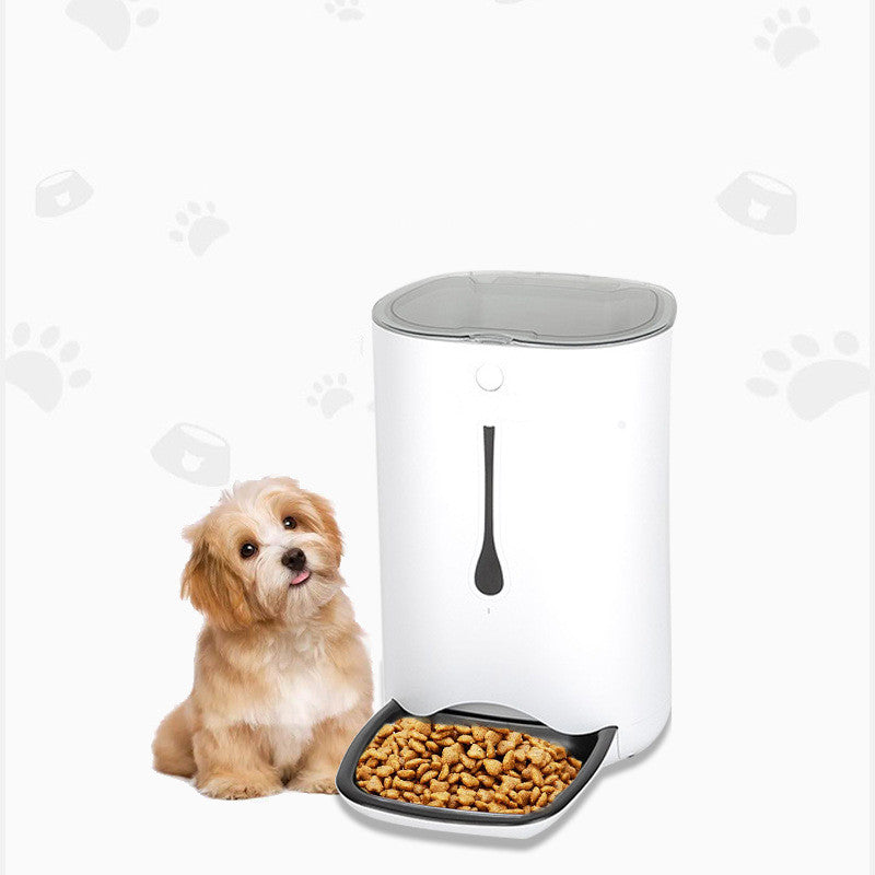 Timed pet video automatic feeder - 0 - CJ
