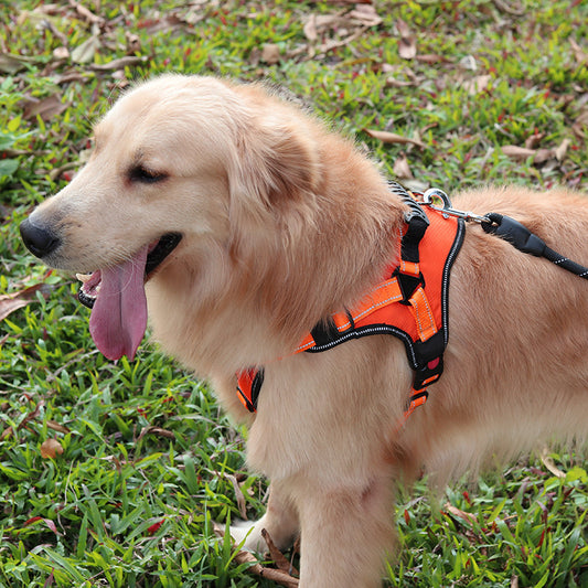 Adjustable Comfortable Dog Harness For Walking - 4 - CJ