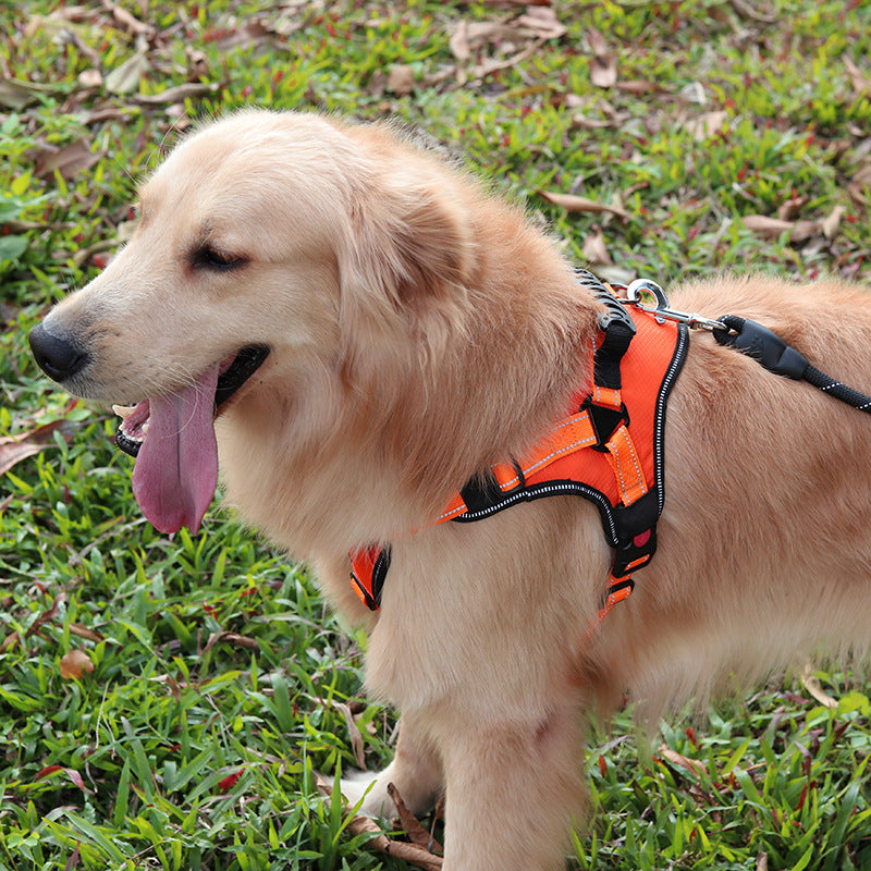 Adjustable Comfortable Dog Harness For Walking - 4 - CJ