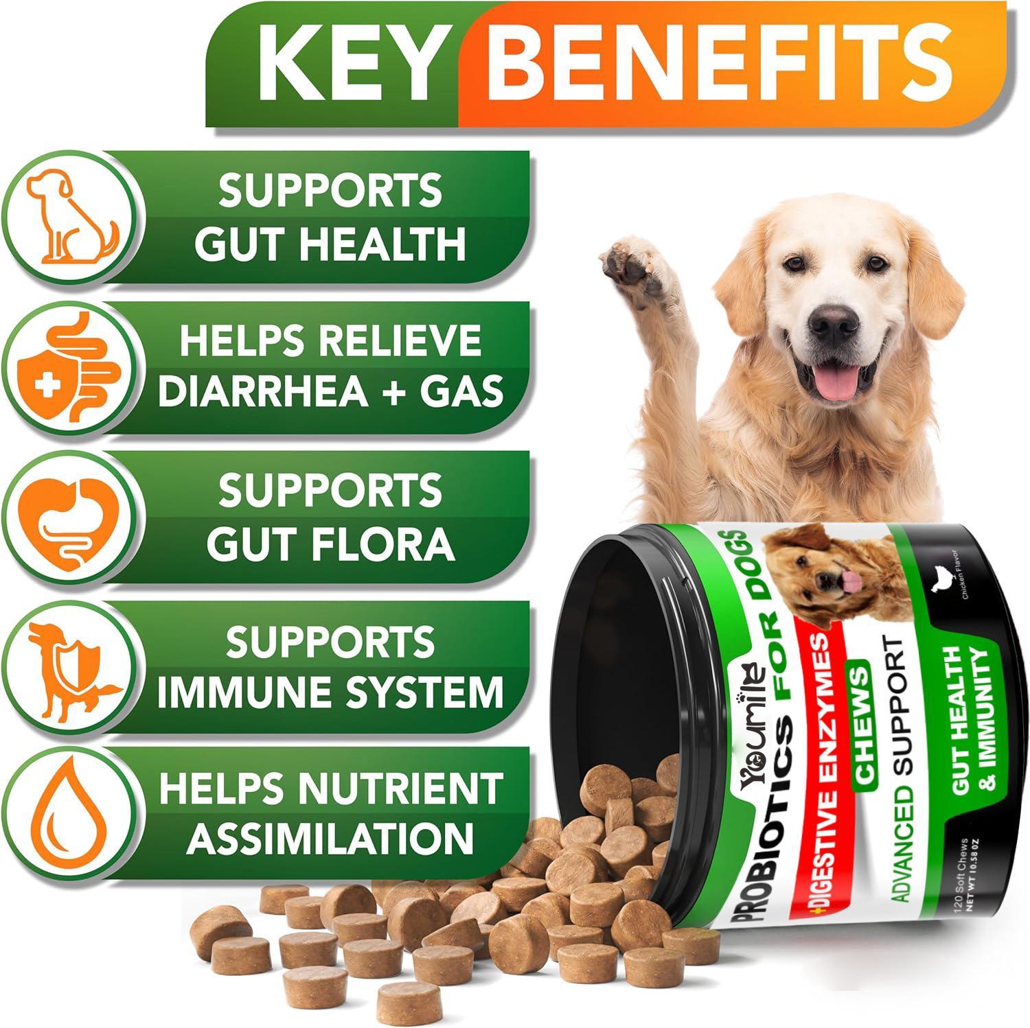 Youmile Probiotics For Dogs Soft Chews For Seasonal Allergies, Gut, And Digestive Health. Vet - Reviewed, Premium - Quality Ingredients - Supplements Dog  Vitamin Hip  And  Joint  Supplement - 5 - CJ