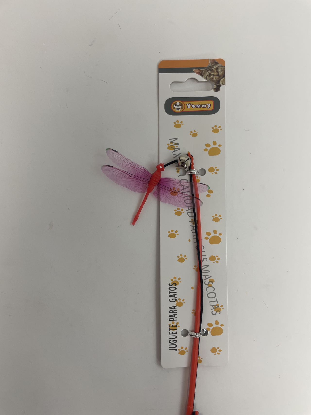 Small Dragonfly Cat Teaser - 5 - CJ