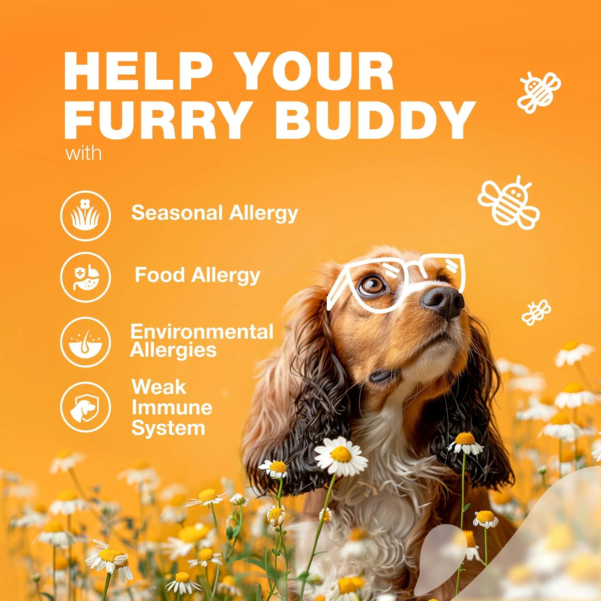 Dog Allergy Relief Chews Itch Relief For Dogs Anti Itch Dog Allergy Chews US Formulated Dog Itching Skin Relief With Salmon Oil Immune Health Seasonal Allergies & Hot Spots Support Treats - 5 - CJ
