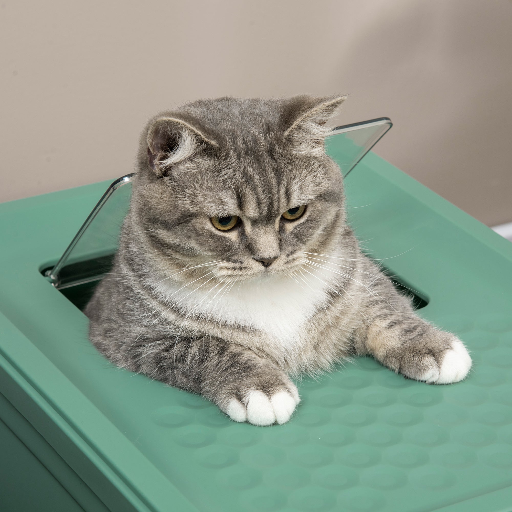 Fully Enclosed Cat Litter Box Portable Pet Toilet With Spoon Large Space - 5 - cjdroshippping