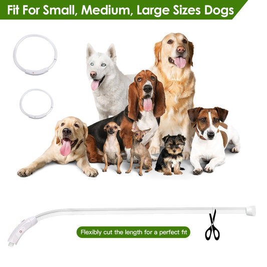1Pc USB Rechargeable LED Dog Collar Multi Color Lighting Dog Safety Collar Cuttable Length Glow Dog Collar For Small Medium Large Dog Night Walking - 5 - CJ
