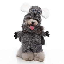 European And American Pet Products Clothing - 0 - CJ - PF73A Raccoon - XL - CJGD183684904DW