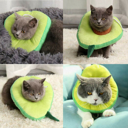 Adjustable Pet Neck Cone Recovery Pet Cat Recovery Collar Cat Soft Lemon Neck Cone Adjustable Pet E Collar After Surgery, Wound Healing Protective Cat Elizabethan Collar For Kitten & Puppy - 5 - CJ