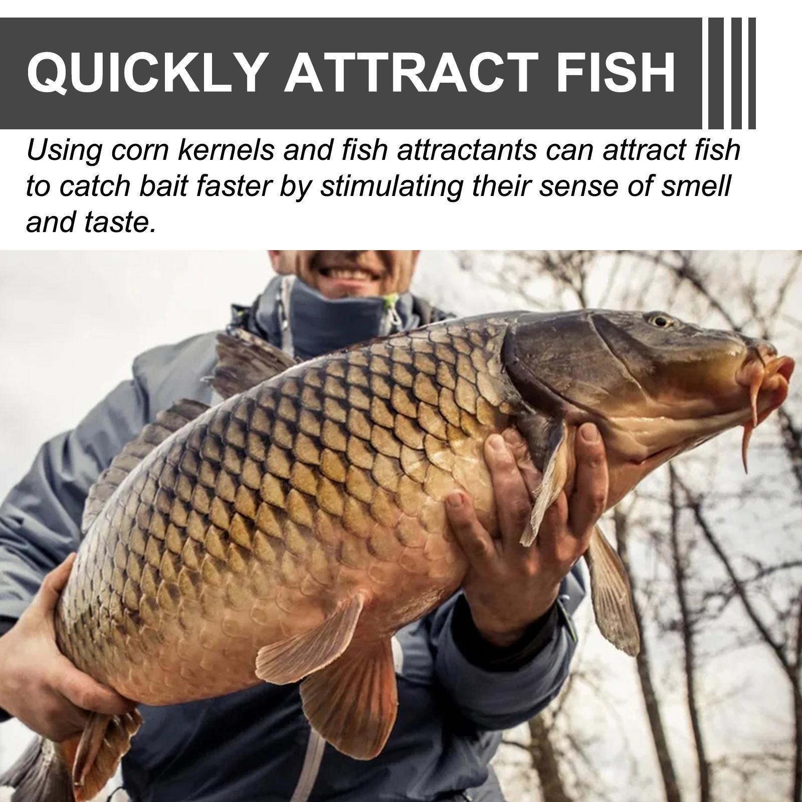 Yebang Corn Fish Bait, Portable Fish Bait For Reservoir Fishing - 5 - CJ