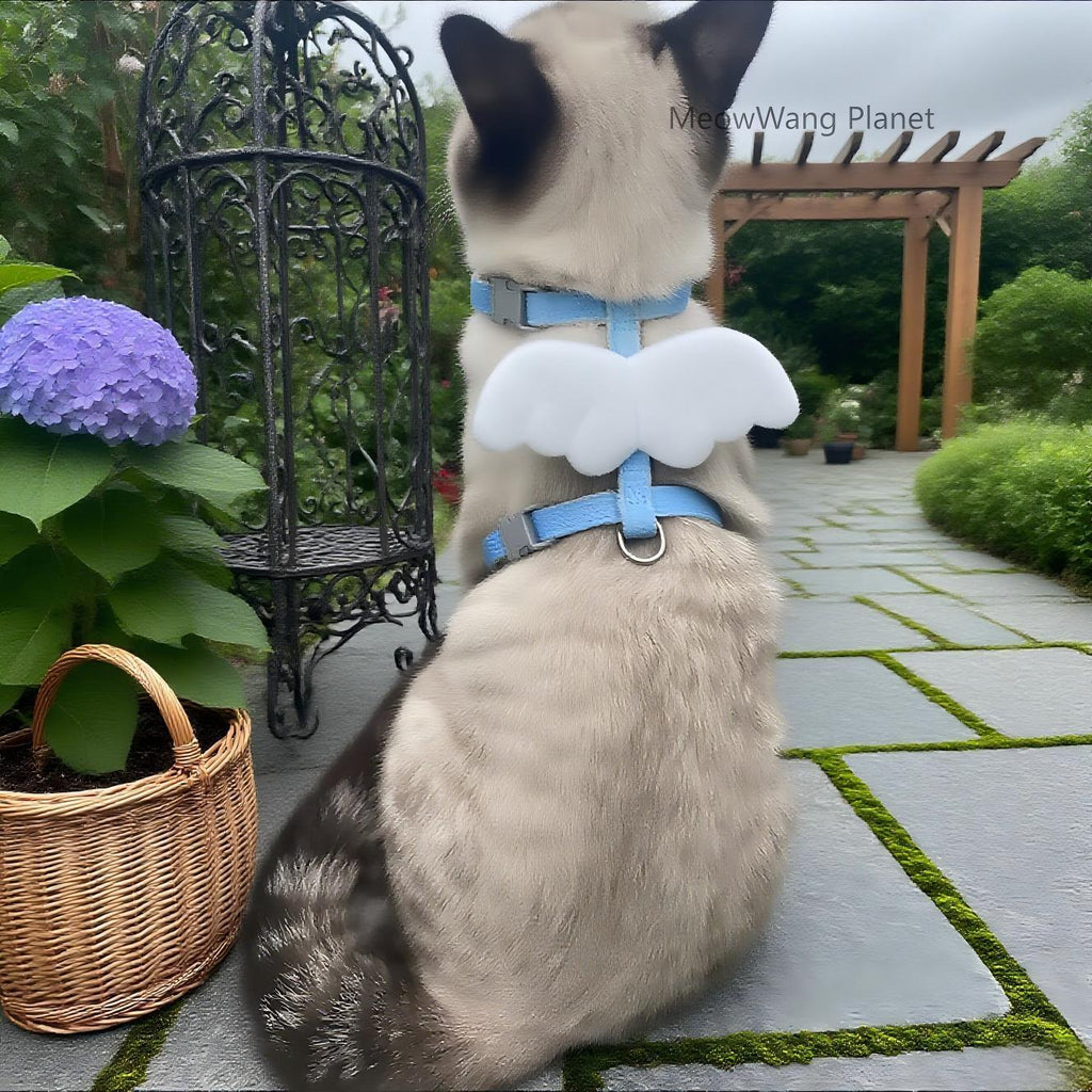 Dog Leash Cat Leash Charming Wings Pet Harness Leash Set Adjustable Escape Proof Vest For Cats Small Dogs Cute Comfortable Outdoor Wear Luxury Pet Gift For Cats Dogs